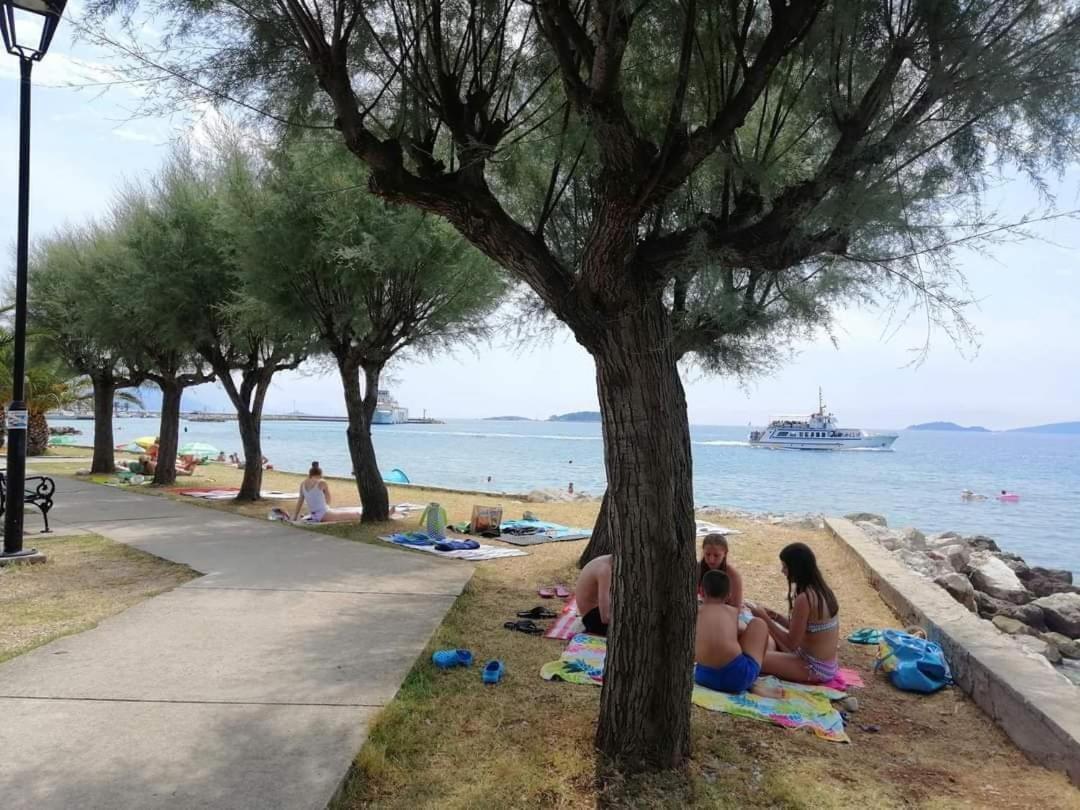 Apartments Frano I Franka By The Sea Orebic